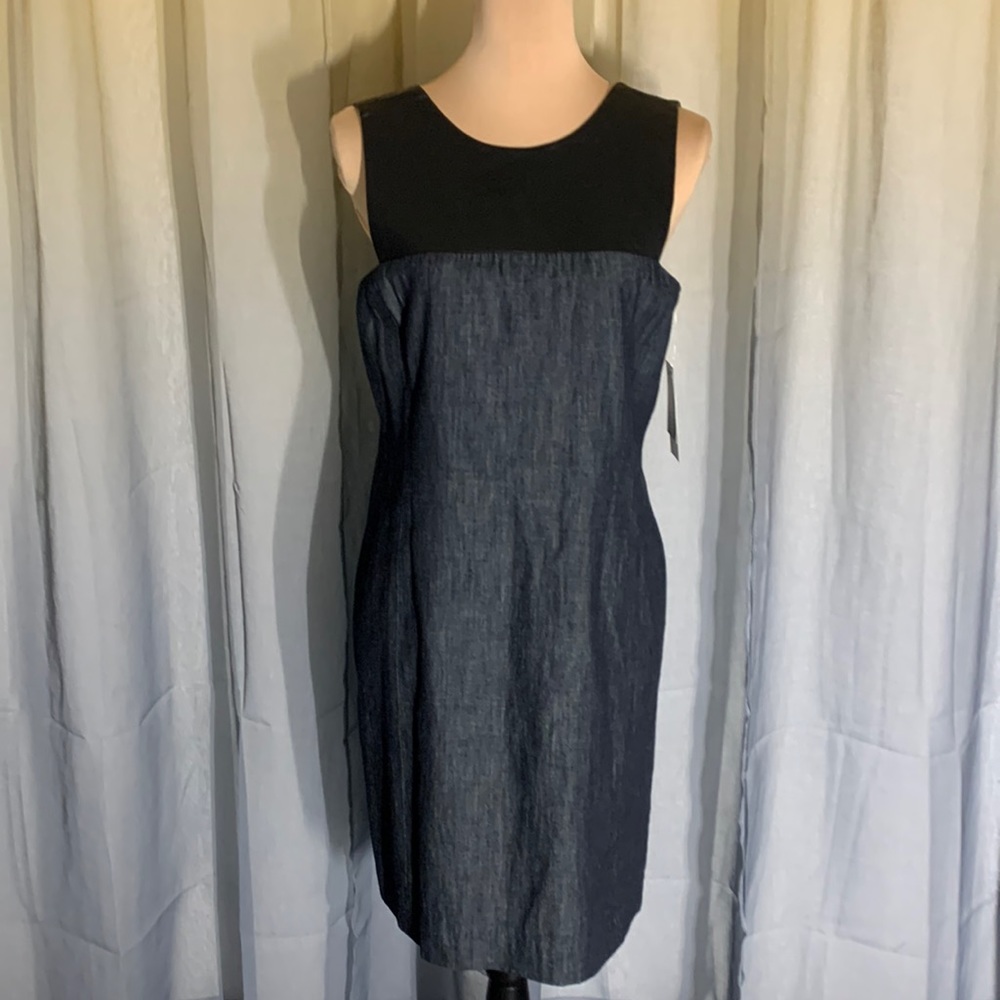 NWT Ralph Lauren dress